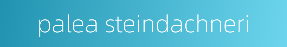 palea steindachneri的同义词