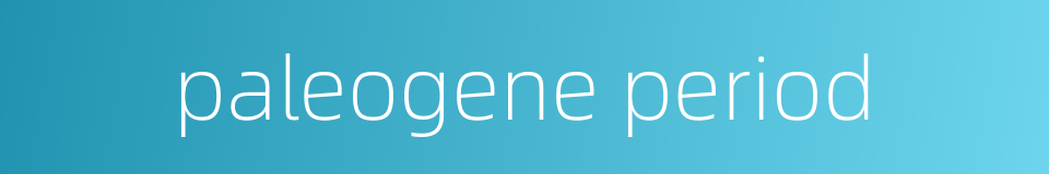 paleogene period的同义词