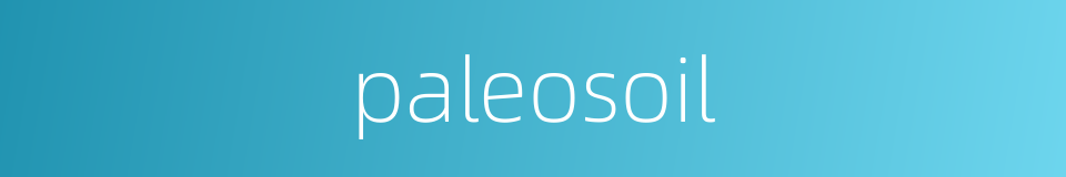 paleosoil的同义词