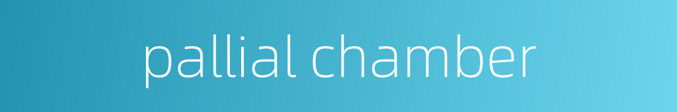 pallial chamber的同义词