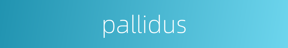 pallidus的同义词