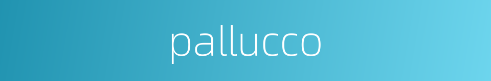 pallucco的同义词