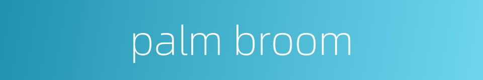 palm broom的同义词