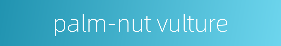 palm-nut vulture的同义词