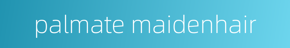 palmate maidenhair的同义词