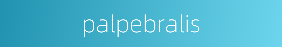 palpebralis的同义词