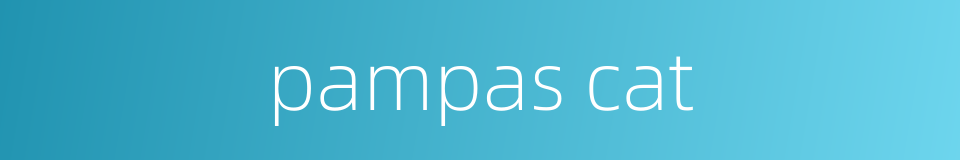 pampas cat的同义词