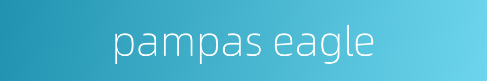 pampas eagle的同义词