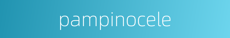 pampinocele的同义词