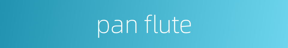 pan flute的同义词