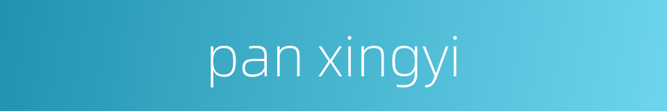 pan xingyi的同义词