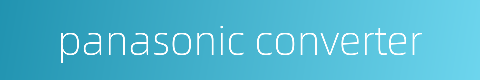 panasonic converter的同义词