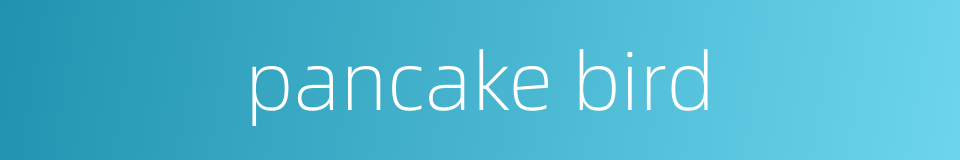 pancake bird的同义词