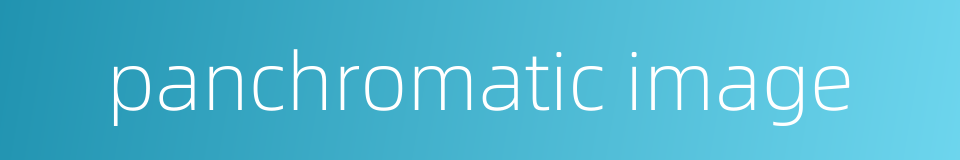 panchromatic image的同义词