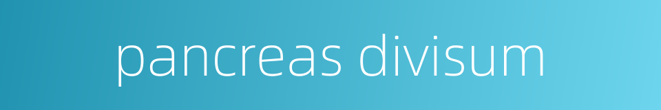 pancreas divisum的同义词