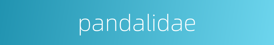 pandalidae的同义词