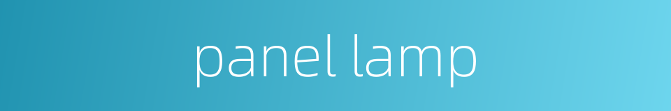 panel lamp的同义词