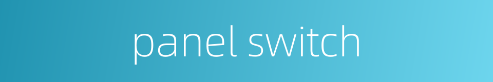 panel switch的同义词