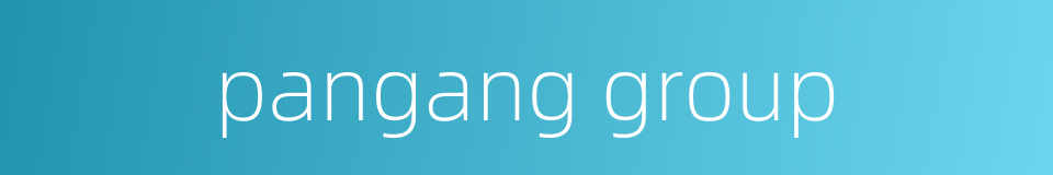 pangang group的同义词