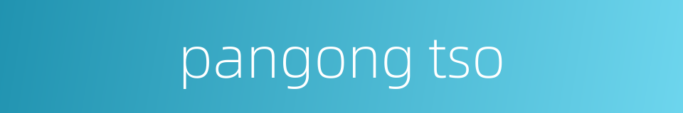 pangong tso的同义词