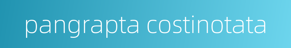 pangrapta costinotata的同义词