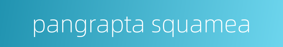 pangrapta squamea的同义词