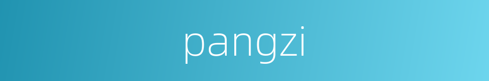 pangzi的同义词