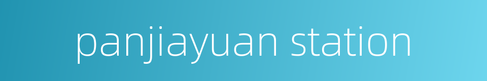 panjiayuan station的同义词