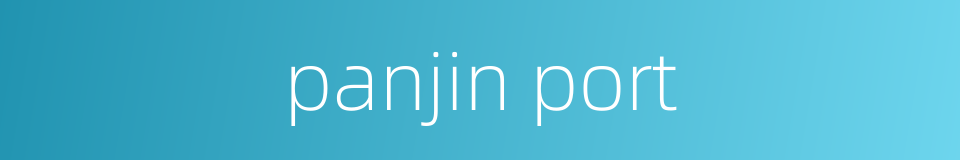 panjin port的同义词