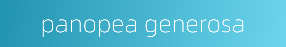 panopea generosa的同义词