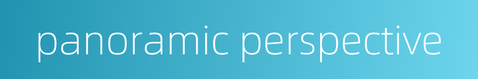 panoramic perspective的同义词