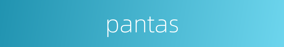 pantas的同义词