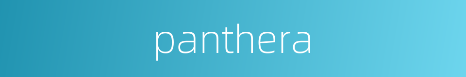 panthera的同义词
