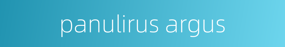 panulirus argus的同义词