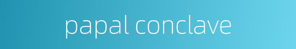 papal conclave的同义词