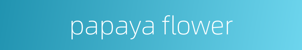 papaya flower的同义词