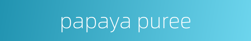 papaya puree的同义词