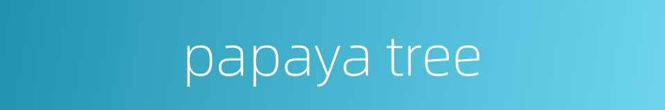 papaya tree的同义词
