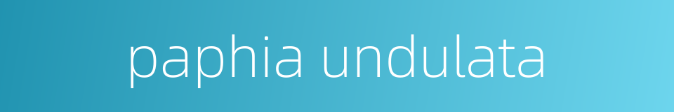 paphia undulata的同义词