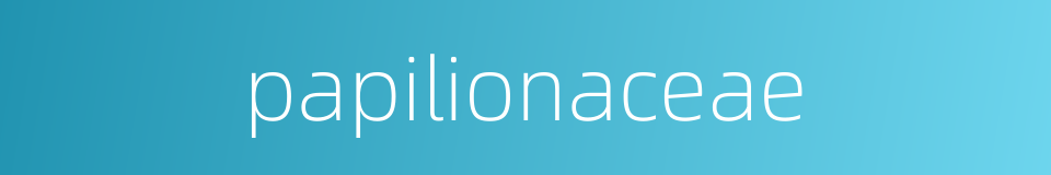 papilionaceae的同义词
