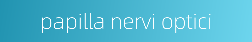 papilla nervi optici的同义词