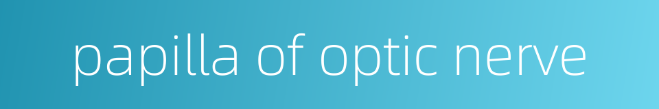 papilla of optic nerve的同义词