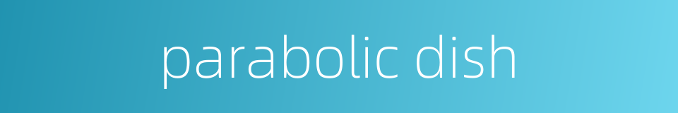 parabolic dish的同义词