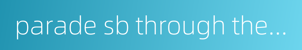 parade sb through the village的同义词