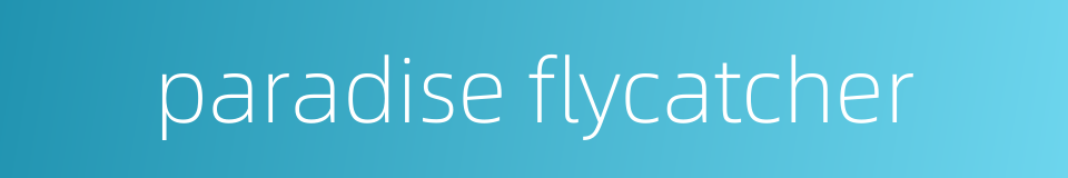 paradise flycatcher的同义词