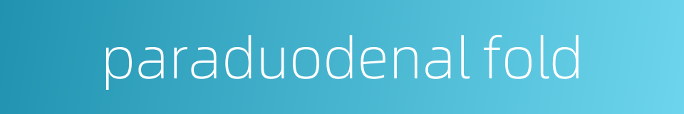 paraduodenal fold的同义词