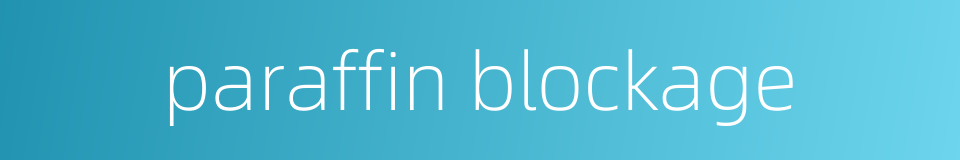 paraffin blockage的同义词