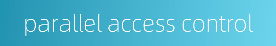 parallel access control的同义词