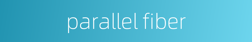 parallel fiber的同义词