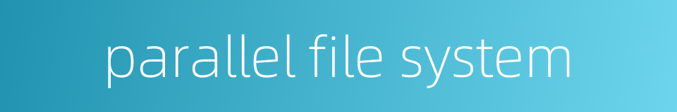 parallel file system的同义词